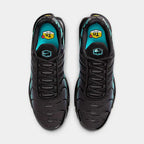 Nike Air Max Plus Black Dusty Cactus (DM0032-016) | SneakerClassics