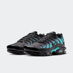 Nike Air Max Plus Black Dusty Cactus (DM0032-016) | SneakerClassics
