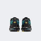 Nike Air Max Plus Black Dusty Cactus (DM0032-016) | SneakerClassics