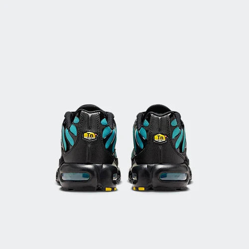 Nike Air Max Plus Black Dusty Cactus (DM0032-016) | SneakerClassics