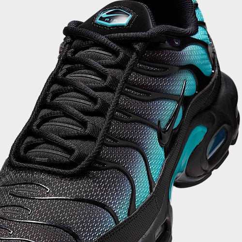 Nike Air Max Plus Black Dusty Cactus (DM0032-016) | SneakerClassics