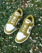 Nike Dunk Low Retro Pacific Moss (DV0833-105) | SneakerClassics