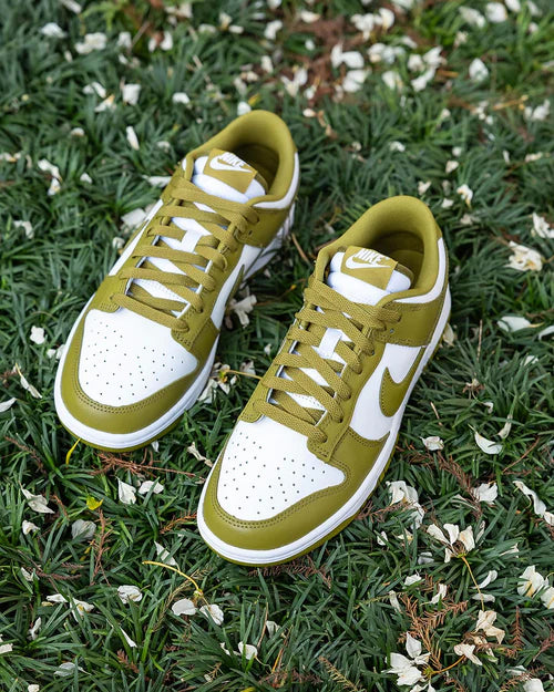 Nike Dunk Low Retro Pacific Moss (DV0833-105) | SneakerClassics