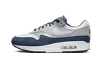 Nike Air Max 1 Obsidian Lilac Bloom (FD9082-001) | SneakerClassics