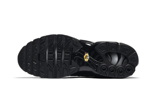 Nike Air Max Plus Triple Black (604133-050) | SneakerClassics