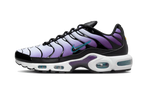 Nike Air Max Plus Reverse Grape (FQ2415-500) | SneakerClassics