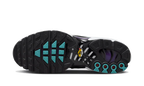 Nike Air Max Plus Reverse Grape (FQ2415-500) | SneakerClassics