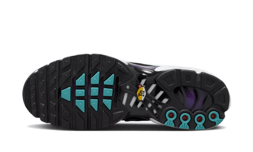 Nike Air Max Plus Reverse Grape (FQ2415-500) | SneakerClassics