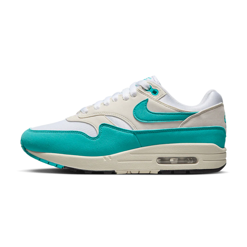 Nike Air Max 1 Dusty Cactus (Women's) (DZ2628-107) | SneakerClassics