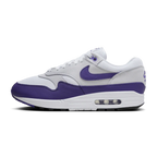 Nike Air Max 1 SC Field Purple (DZ4549-101) | SneakerClassics