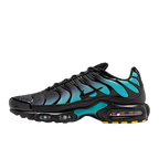 Nike Air Max Plus Black Dusty Cactus (DM0032-016) | SneakerClassics