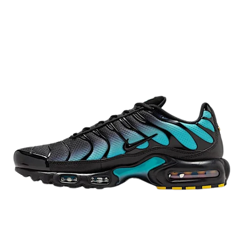 Nike Air Max Plus Black Dusty Cactus (DM0032-016) | SneakerClassics