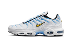 Nike Air Max Plus Black University Gold White (DM0032-013) | SneakerClassics