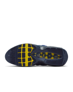 Nike Air Max 95 SB Eric Koston Obsidian Speed Yellow (HQ8492-400) | SneakerClassics