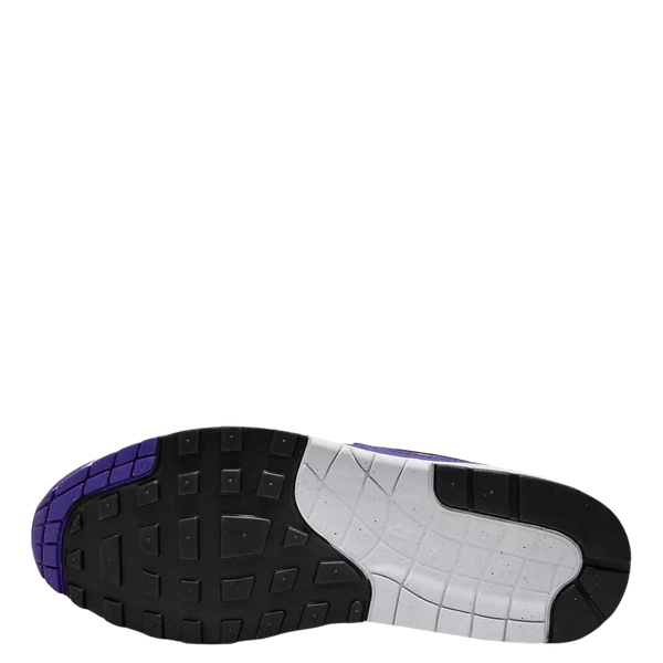 Nike Air Max 1 SC Field Purple (DZ4549-101) | SneakerClassics
