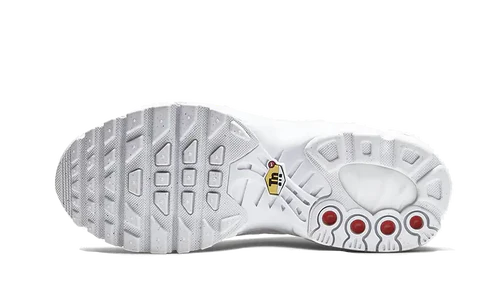 Nike Air Max Plus Triple White (AJ2029-100) | SneakerClassics