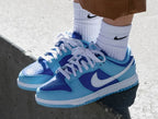 Nike Dunk Low Retro QS Argon (2022) (DM0121-400) | SneakerClassics