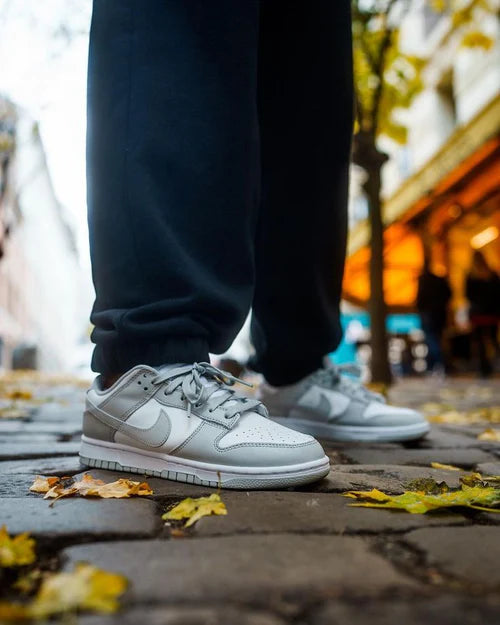 Nike Dunk Low Grey Fog (DD1391-103) | SneakerClassics