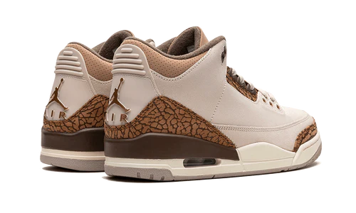 Jordan 3 Retro Palomino (CT8532-102) | SneakerClassics