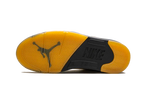 Jordan 5 Retro A Ma Maniére Dawn (Women's) (FZ5758-004) | SneakerClassics