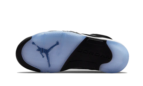 Jordan 5 Retro Moonlight (2021) (CT4838-011) | SneakerClassics