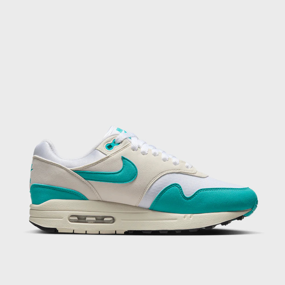 Nike Air Max 1 Dusty Cactus (Women's) (DZ2628-107) | SneakerClassics