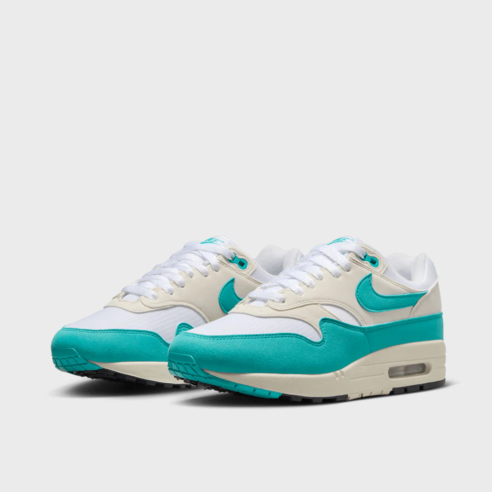 Nike Air Max 1 Dusty Cactus (Women's) (DZ2628-107) | SneakerClassics