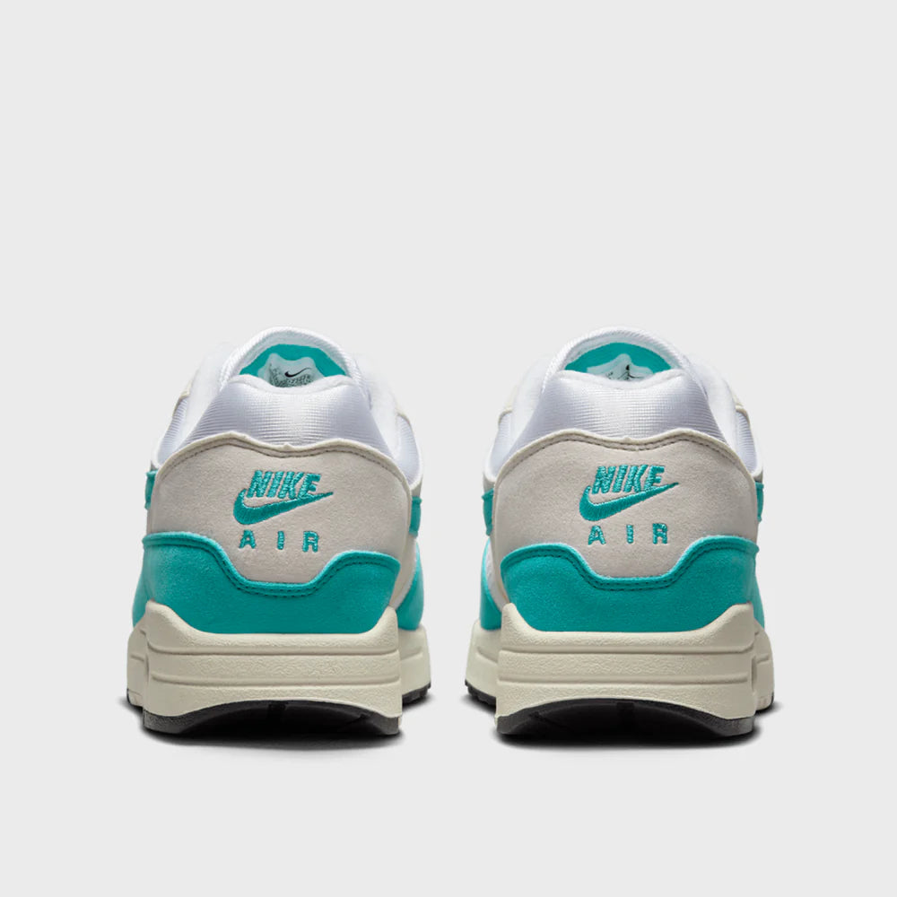 Nike Air Max 1 Dusty Cactus (Women's) (DZ2628-107) | SneakerClassics