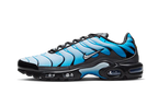Nike Air Max Plus Blue Gradient (FQ0204-010) | SneakerClassics