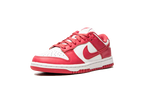 Nike Dunk Low Archeo Pink (Women's) (DD1503-111) | SneakerClassics