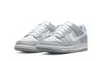 Nike Dunk Low Two-Toned Grey (GS) (DH9765-001) | SneakerClassics