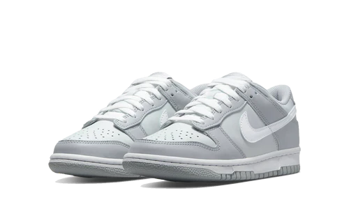 Nike Dunk Low Two-Toned Grey (GS) (DH9765-001) | SneakerClassics