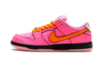 Nike SB Dunk Low The Powerpuff Girls Blossom (FD2631-600) | SneakerClassics
