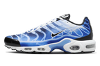 Nike Air Max Plus Light Photography Old Royal (DZ3531-400) | SneakerClassics