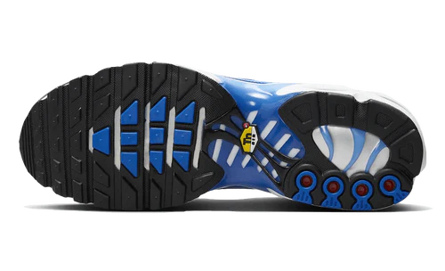 Nike Air Max Plus Light Photography Old Royal (DZ3531-400) | SneakerClassics